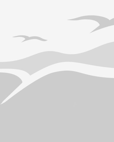 Contrat de courrier et livraison